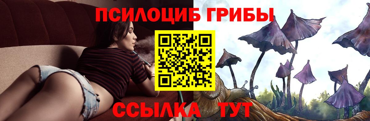 Псилоцибиновые грибы Psilocybe  Вход с VPN  Волжский 